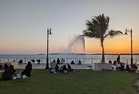 1000017524