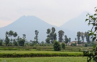 1000025645