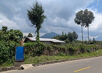 1000025746
