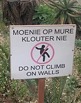 IMG_1390
