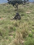 IMG_1453