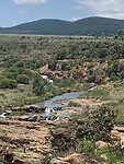 IMG_1466