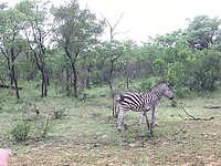 IMG_0020