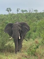 IMG_1525