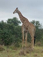 IMG_1545