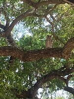 IMG_1558