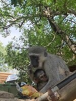 IMG_1573