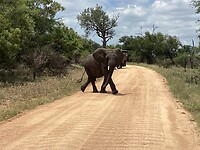 IMG_0065