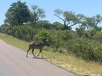IMG_1605