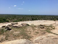 IMG_0071