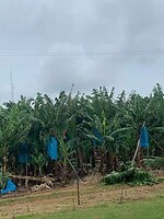 IMG_1628