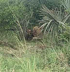 IMG_1989