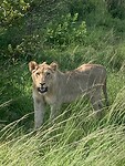 IMG_1966