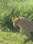 IMG_1958