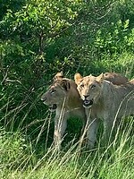 IMG_1967