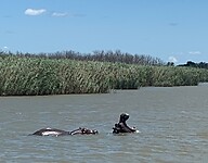 IMG_1914