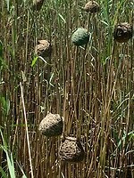 IMG_1893