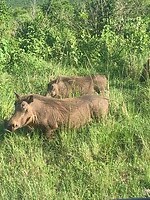 IMG_1973