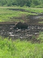 IMG_1942