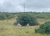 IMG_2154