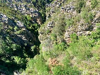 IMG_2210