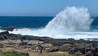 IMG_2239
