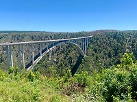 IMG_2250