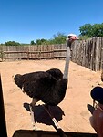 IMG_2322