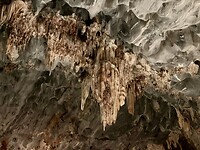 IMG_2392