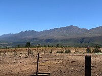 IMG_2365