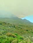 IMG_2544