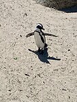 IMG_2621