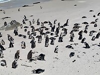 IMG_2611