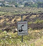 IMG_2715