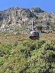 IMG_2713