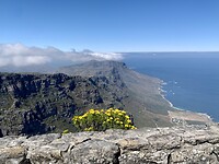 IMG_2738