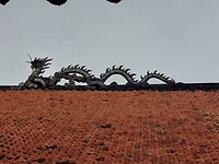 20240207_102428