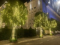IMG_3053