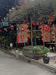 IMG_3078