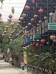 IMG_3077