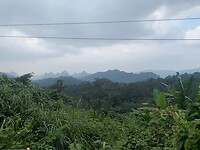 IMG_3135
