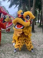 IMG_3186