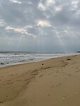 IMG_3217