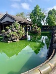 IMG_3340