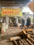 IMG_3451