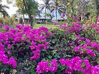IMG_0240