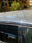 IMG_4715