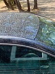 IMG_4714