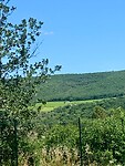 IMG_4766