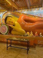 IMG_5020